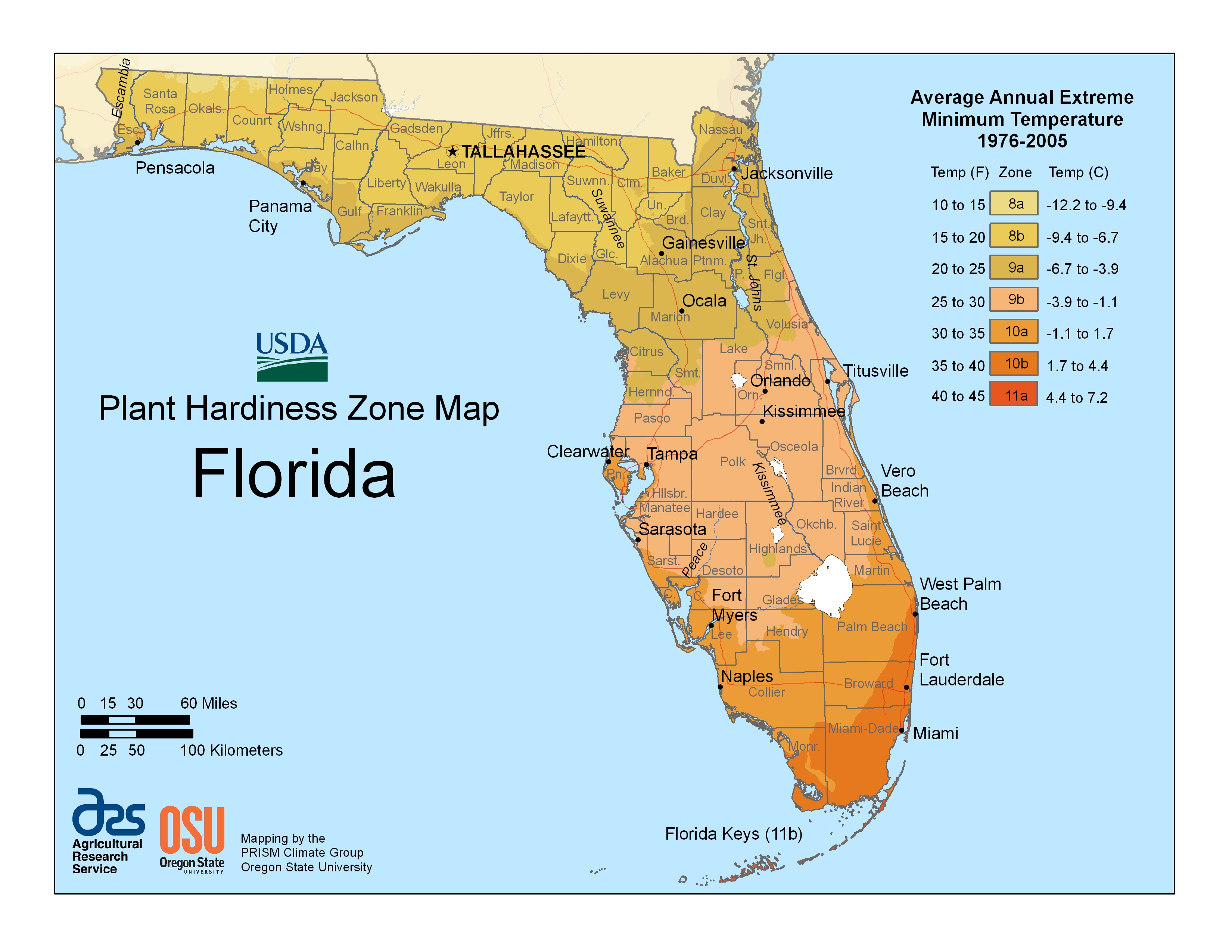 When To Plant In Florida
